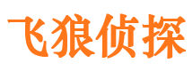 武鸣市婚姻出轨调查